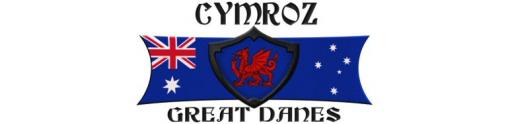 Cymroz Great Danes