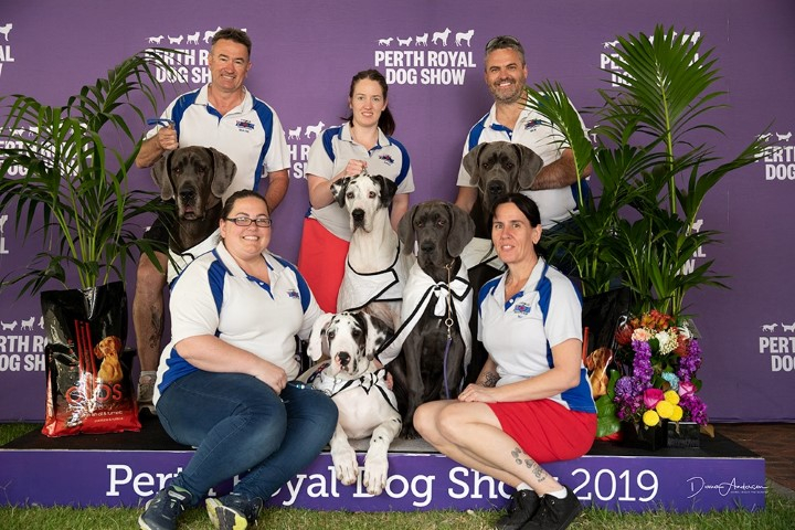 Perth Royal Show Team 2019